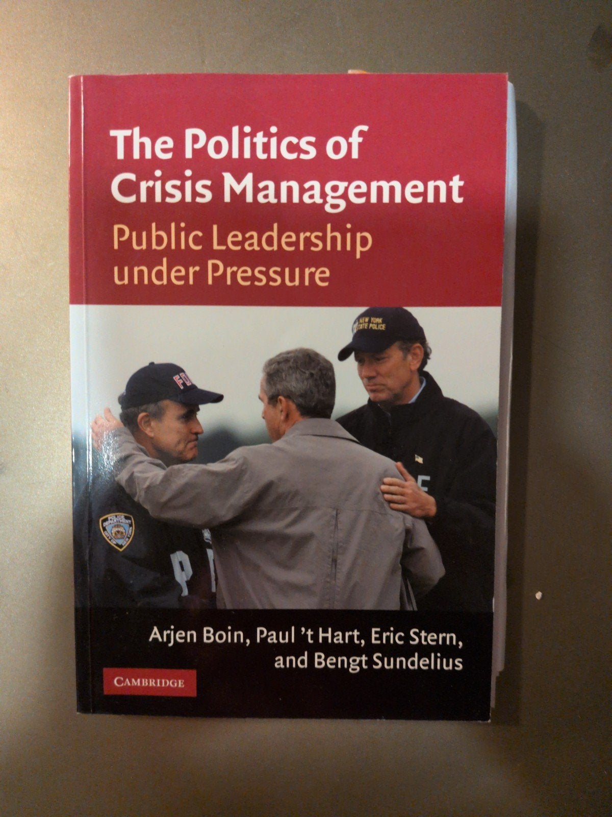 Boek: The Politics of Crisis Management, Gelezen, Ophalen of Verzenden, WO, Gamma