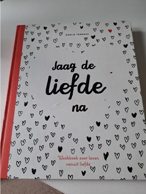 Marije Vermaas - Jaag de Liefde na, Ophalen of Verzenden, Gelezen
