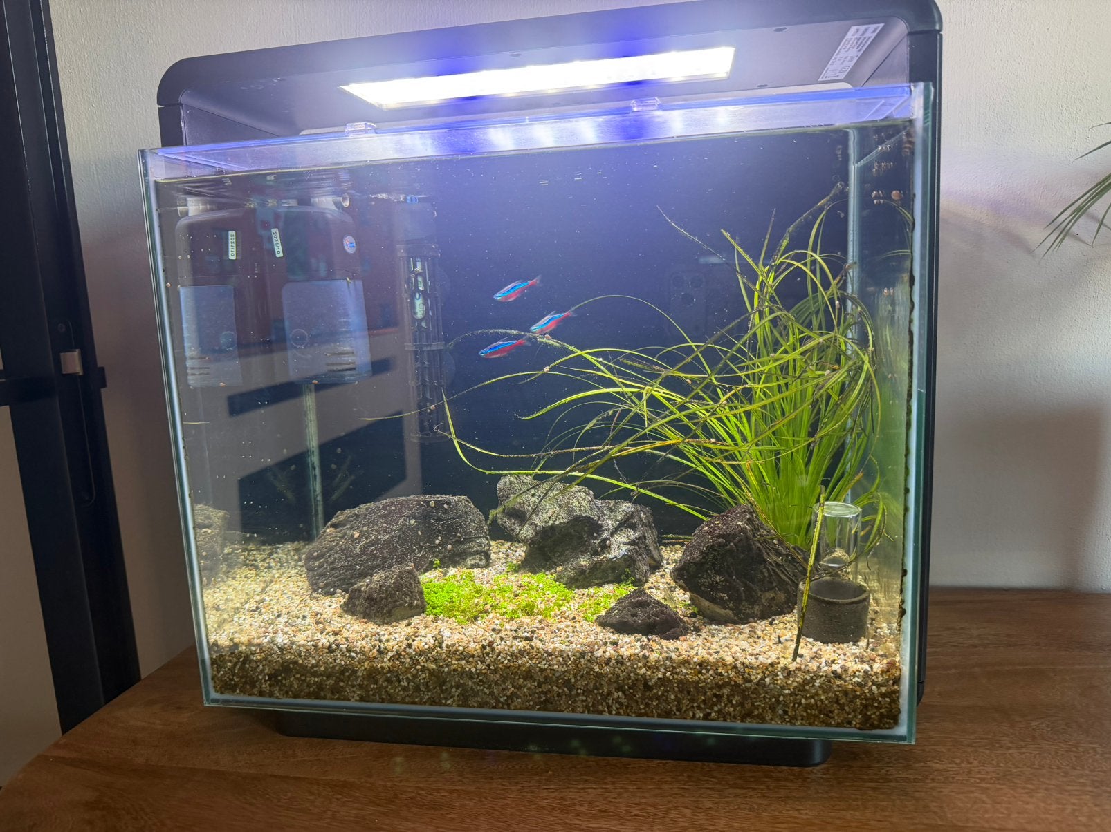 Complete aquarium superfish 45 bak, Ophalen, Gebruikt, Gevuld zoetwateraquarium