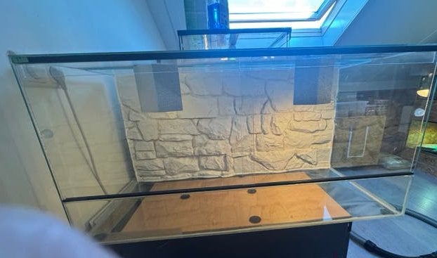 Terrarium 100x50x50, Dieren en Toebehoren, Ophalen, Gebruikt