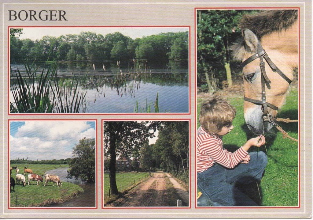 Ansichtkaart Borger, 4-luik, ven, paard, koeien, zandweg, Ophalen of Verzenden, 1980 tot heden, Gelopen, Drenthe