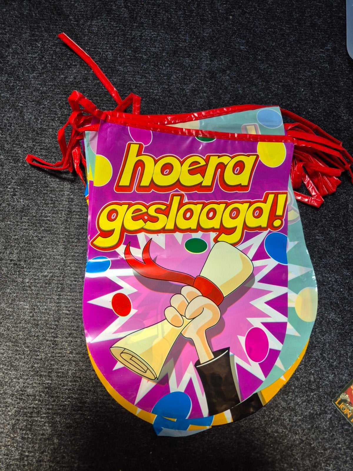 Hoera geslaagd vlaggen lijn, Ophalen of Verzenden