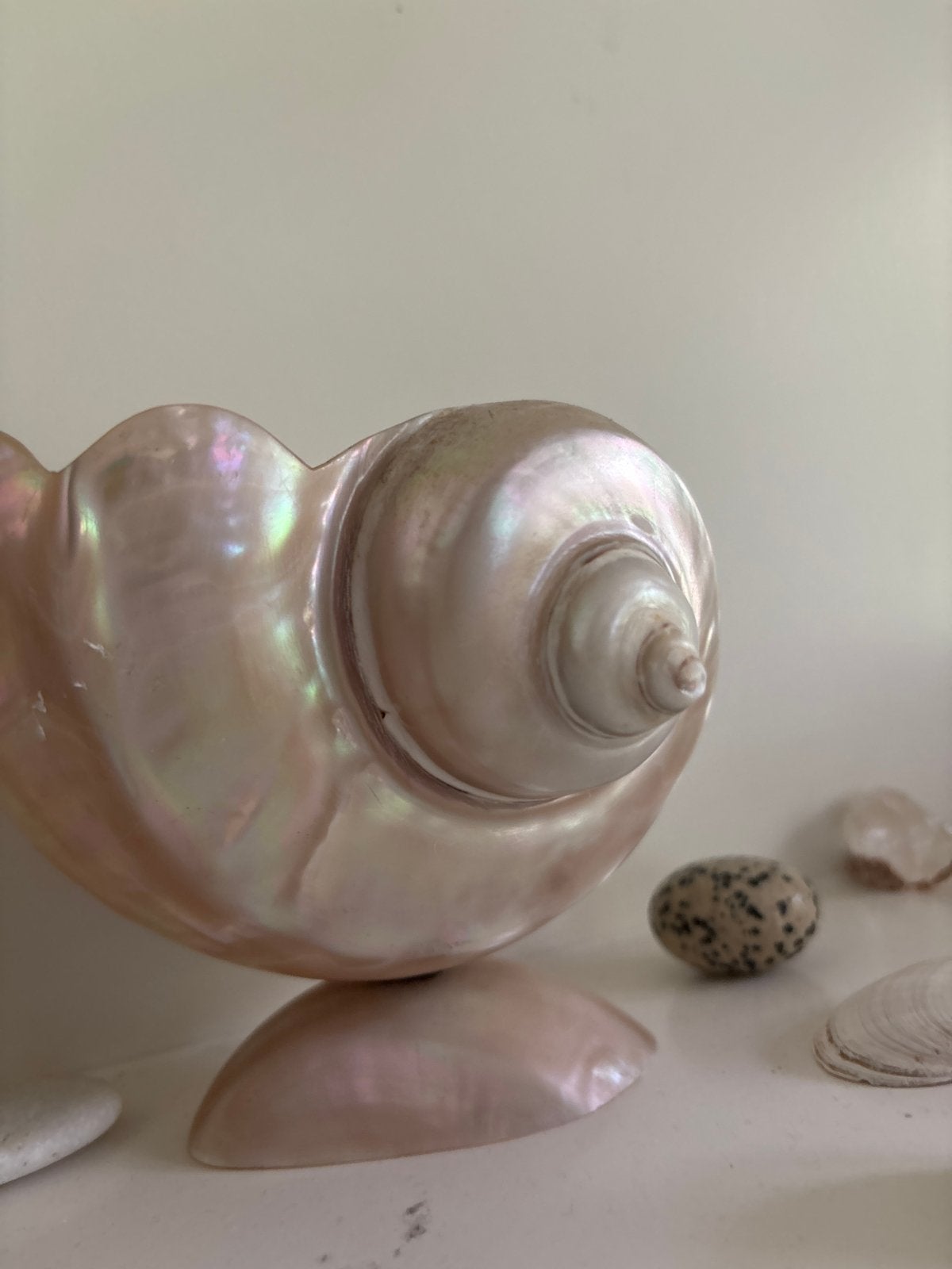 Prachtige parelmoeren schelp - Decoratie, Ophalen, Meerkleurig, Overige stijlen, Zo goed als nieuw