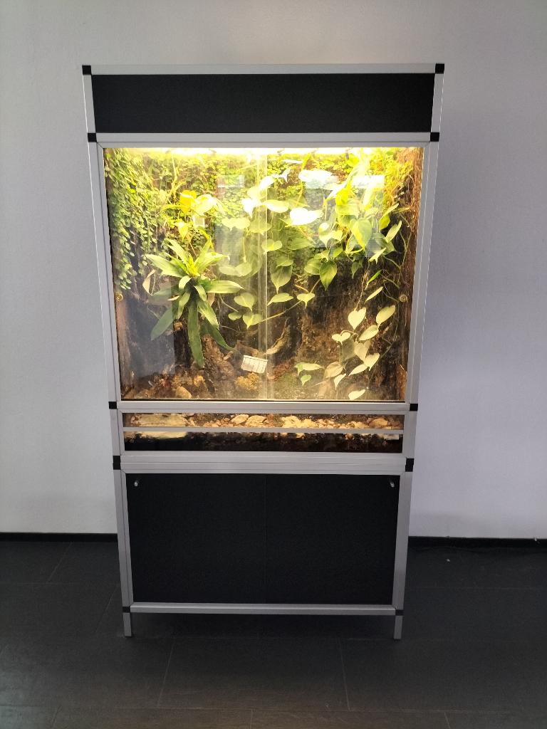 Te koop paludarium (Rana), Dieren en Toebehoren, Reptielen en Amfibieën | Toebehoren, Ophalen, Gebruikt, Terrarium of Paludarium