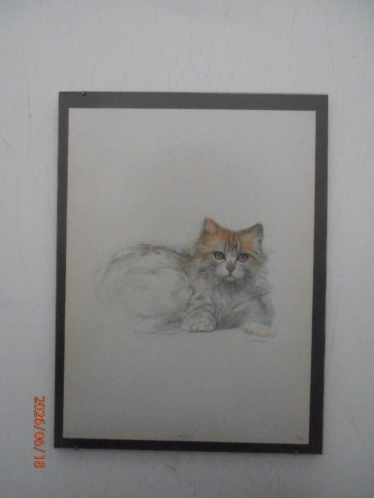 Set ingelijste katten afbeeldingen (4stks.), Minder dan 50 cm, Tekening, Ophalen of Verzenden, Zo goed als nieuw
