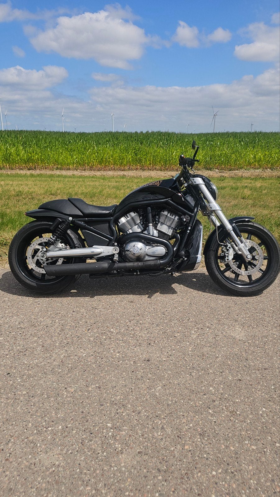 Harley-Davidson V-Rod Muscle - Krachtige Chopper, Motoren, Motoren | Harley-Davidson, Particulier, Chopper, meer dan 35 kW, 2 cilinders