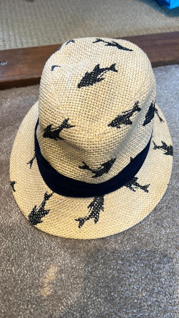 Zomer hoed met haaien 7-10 jaar maat 54, Kinderen en Baby's, Kinderkleding | Petten en Hoeden, Ophalen of Verzenden, Zo goed als nieuw