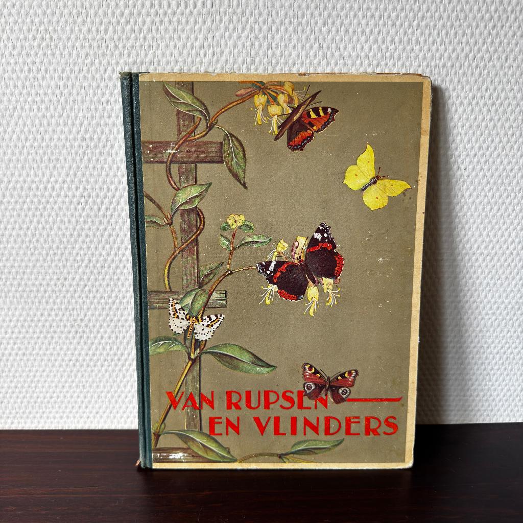 Antiek Plaatjesboek, Rupsen en Vlinders, 1935, Plaatjes Boek, Ophalen of Verzenden, Gelezen, Plaatjesalbum