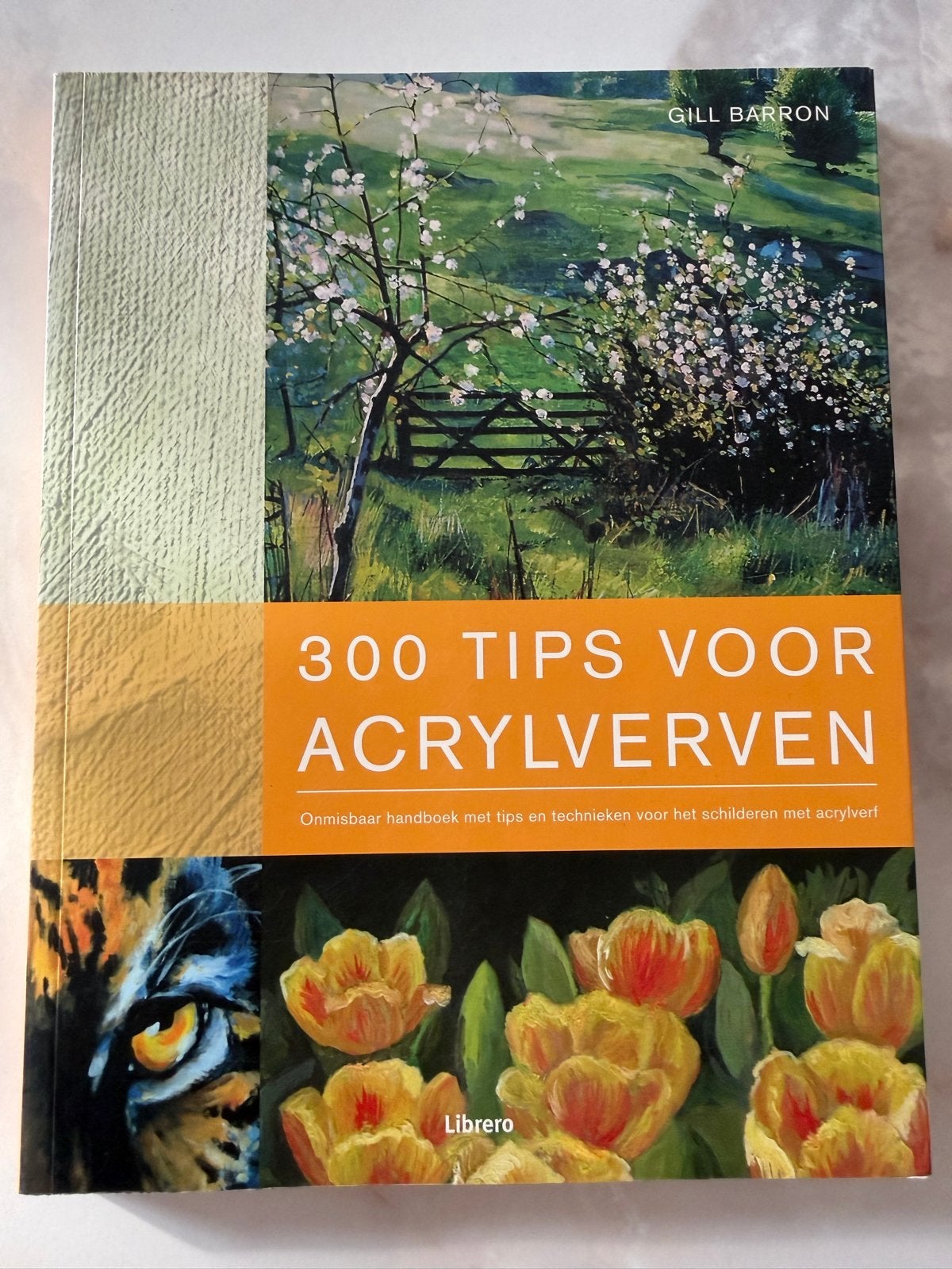 300 Tips voor Acrylverven - Gill Barron, Ophalen of Verzenden, Gelezen