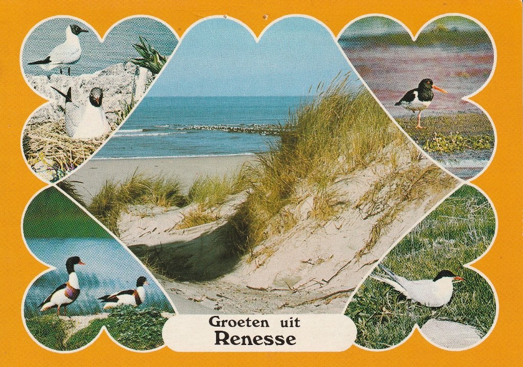 Groeten uit Renesse 8, Ophalen of Verzenden, 1980 tot heden, Gelopen, Zeeland