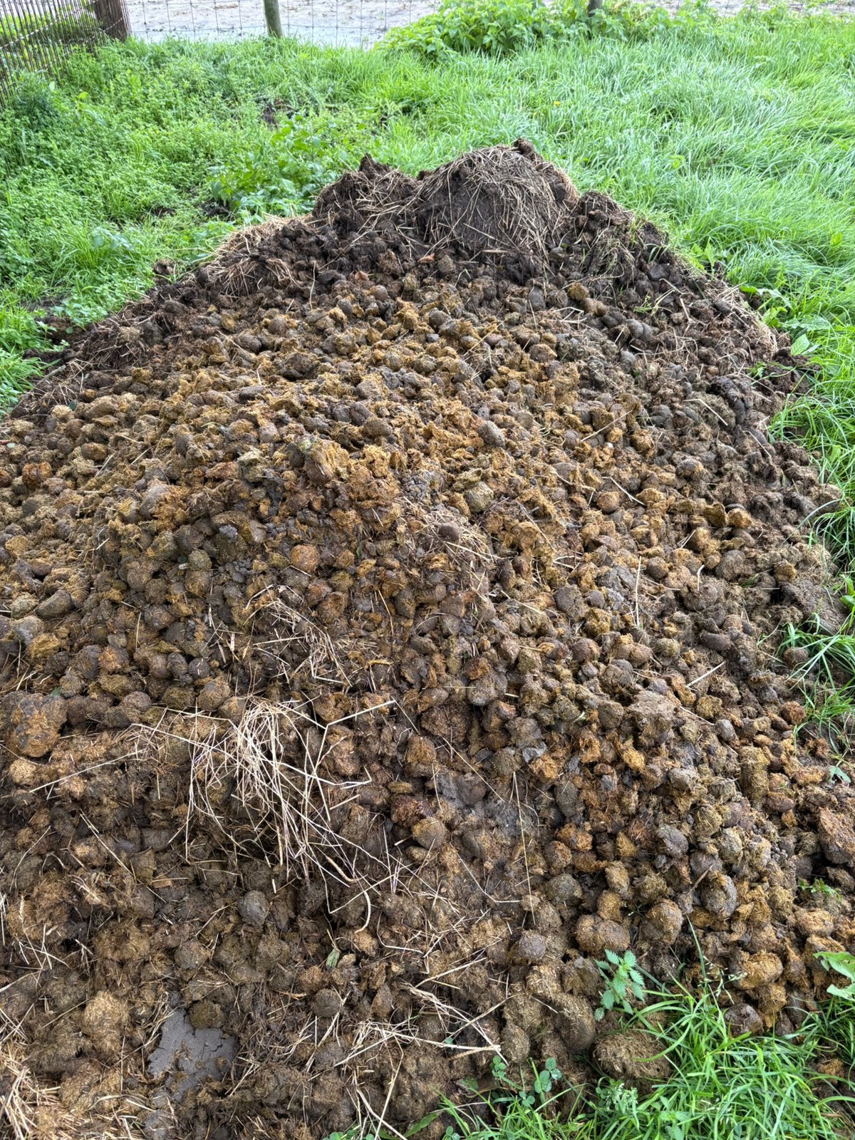 Gratis paardenmest, Ophalen, Mest
