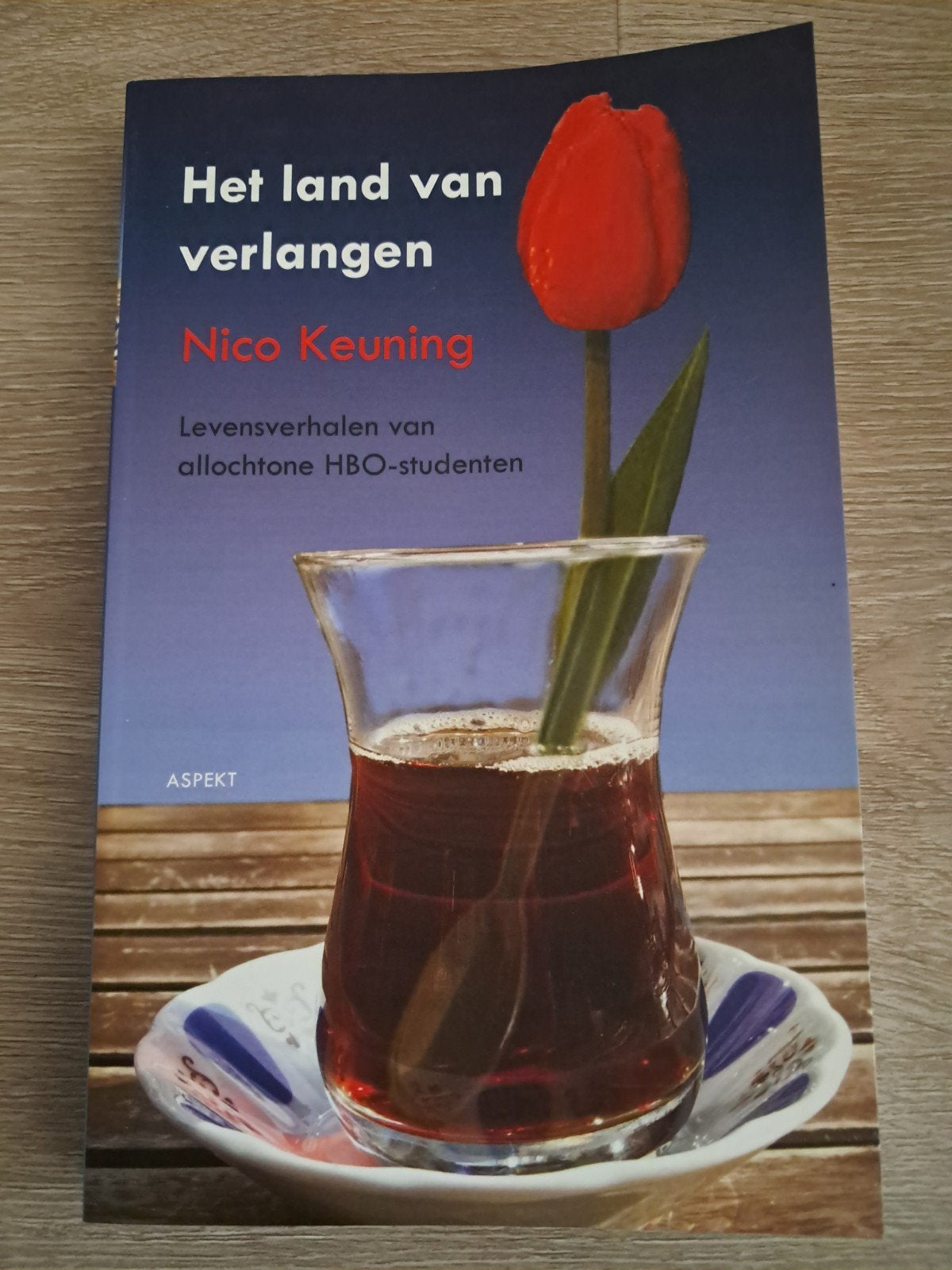 C1 Nico Keuning - Het land van verlangen, Sociale wetenschap, Ophalen of Verzenden, Zo goed als nieuw, Nico Keuning