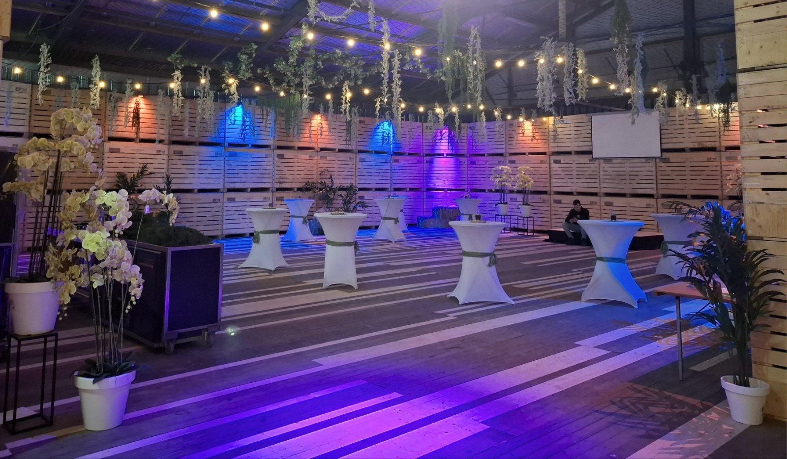 Te huur/ Te koop: Professionele feestverlichting., Ophalen, Nieuw, Overige