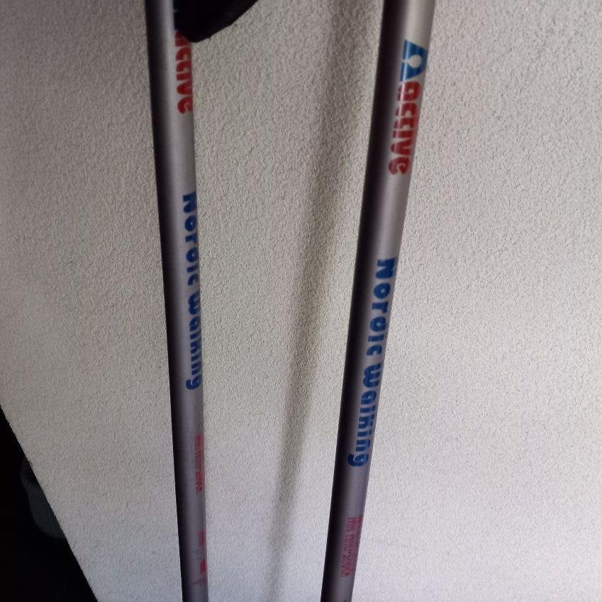 nordic walking, Ophalen of Verzenden, Zo goed als nieuw, Schoenen