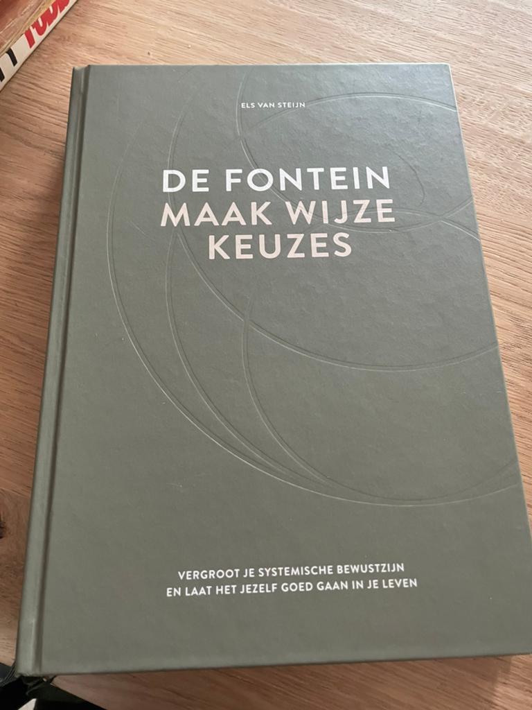 Els van Steijn - De fontein, maak wijze keuzes, Boeken, Ophalen of Verzenden, Zo goed als nieuw, Els van Steijn