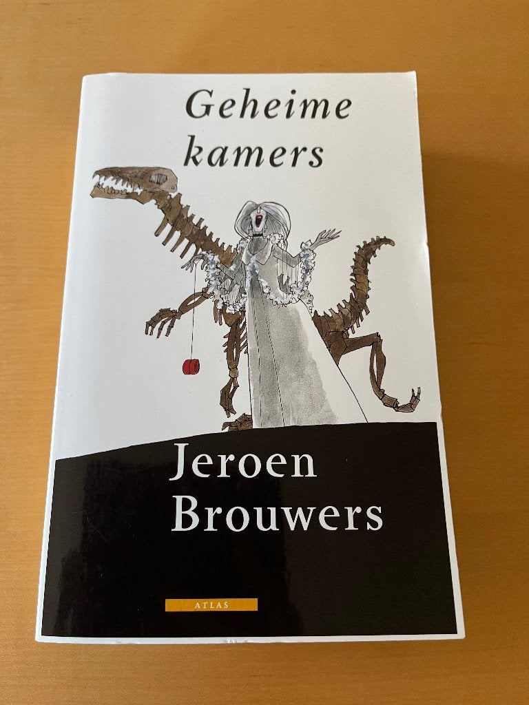 Boek, Gelezen, Jeroen Brouwers, Ophalen of Verzenden, Nederland