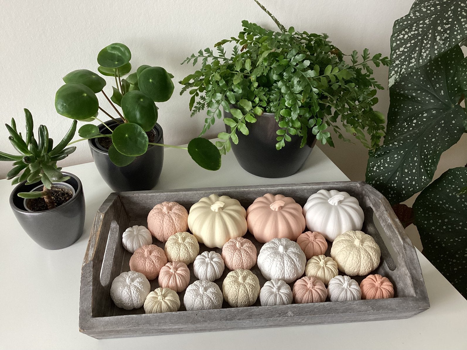 Dienblad met diverse blijvende keramieke pompoenen, Ophalen of Verzenden, Nieuw, Meerkleurig, Steen/keramiek