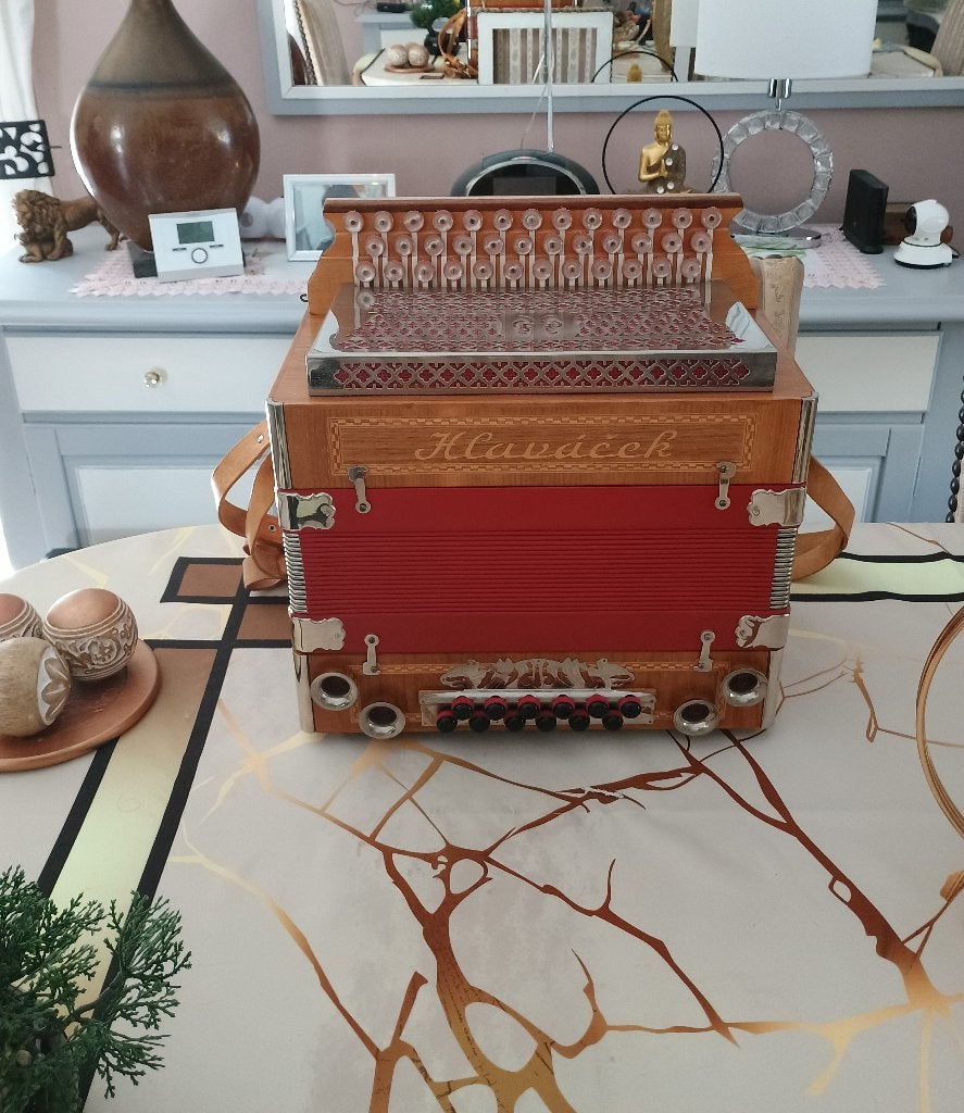 Prachtige diatonische harmonica Hlaváček (Louny), Muziek en Instrumenten, Overige formaten, Met koffer, Zo goed als nieuw, Knopaccordeon