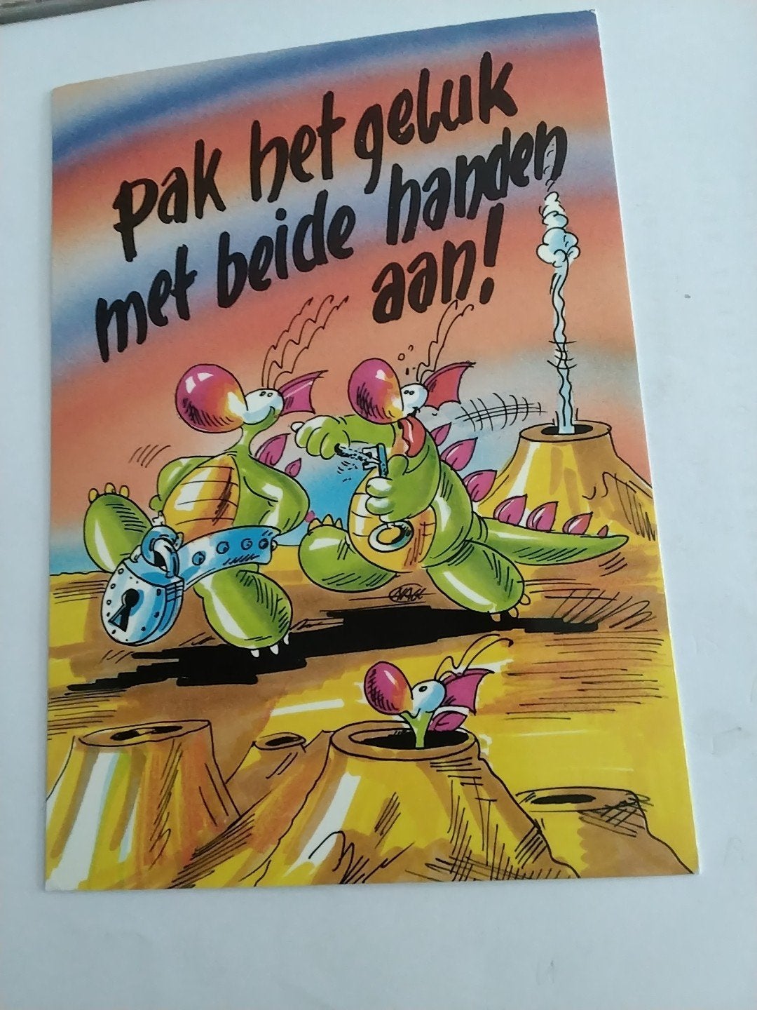 Grappige Ansichtkaart: Pak het geluk met beide handen aan!, Ophalen of Verzenden, 1980 tot heden, Ongelopen