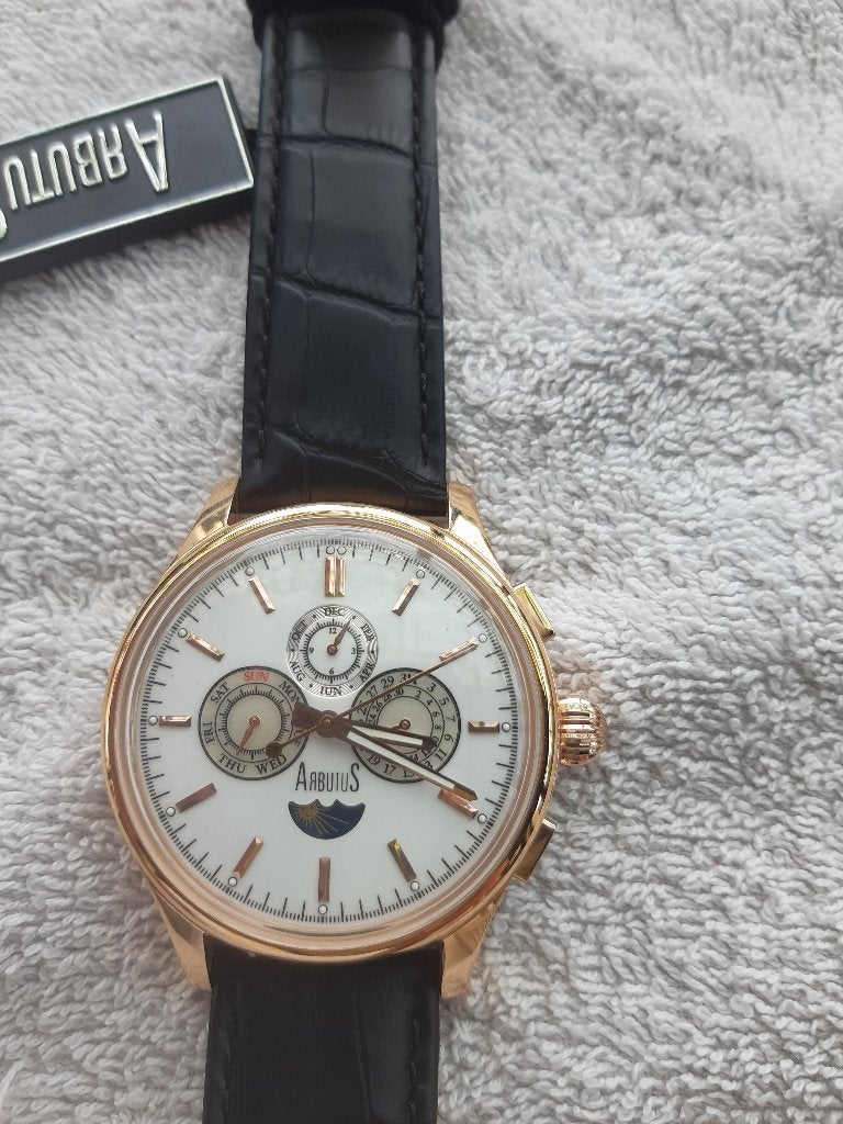 Horloge Arbutus, Sieraden, Tassen en Uiterlijk, Horloges | Heren, Overige merken, Leer, Polshorloge, Nieuw
