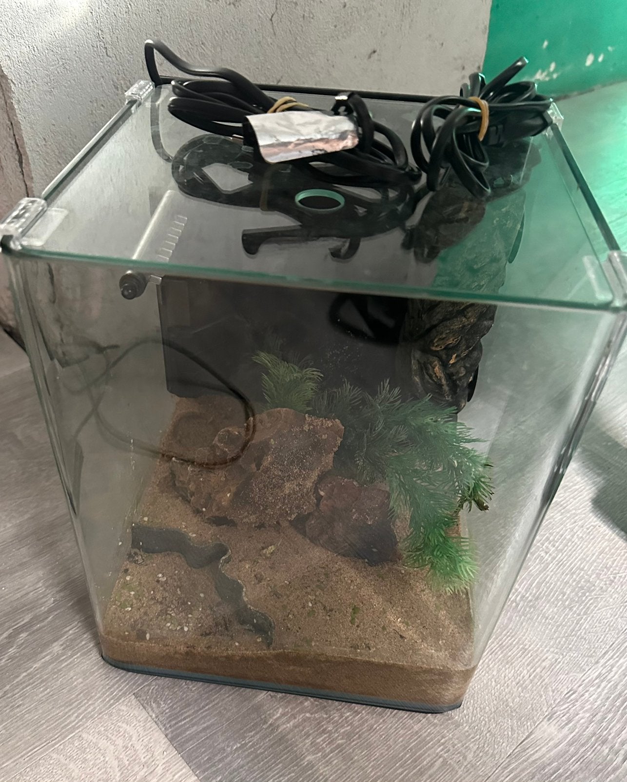 Dennerle Nano-Cube 20l incl. verwarming en filter + cover, Ophalen, Gebruikt, Dennerle, Leeg aquarium