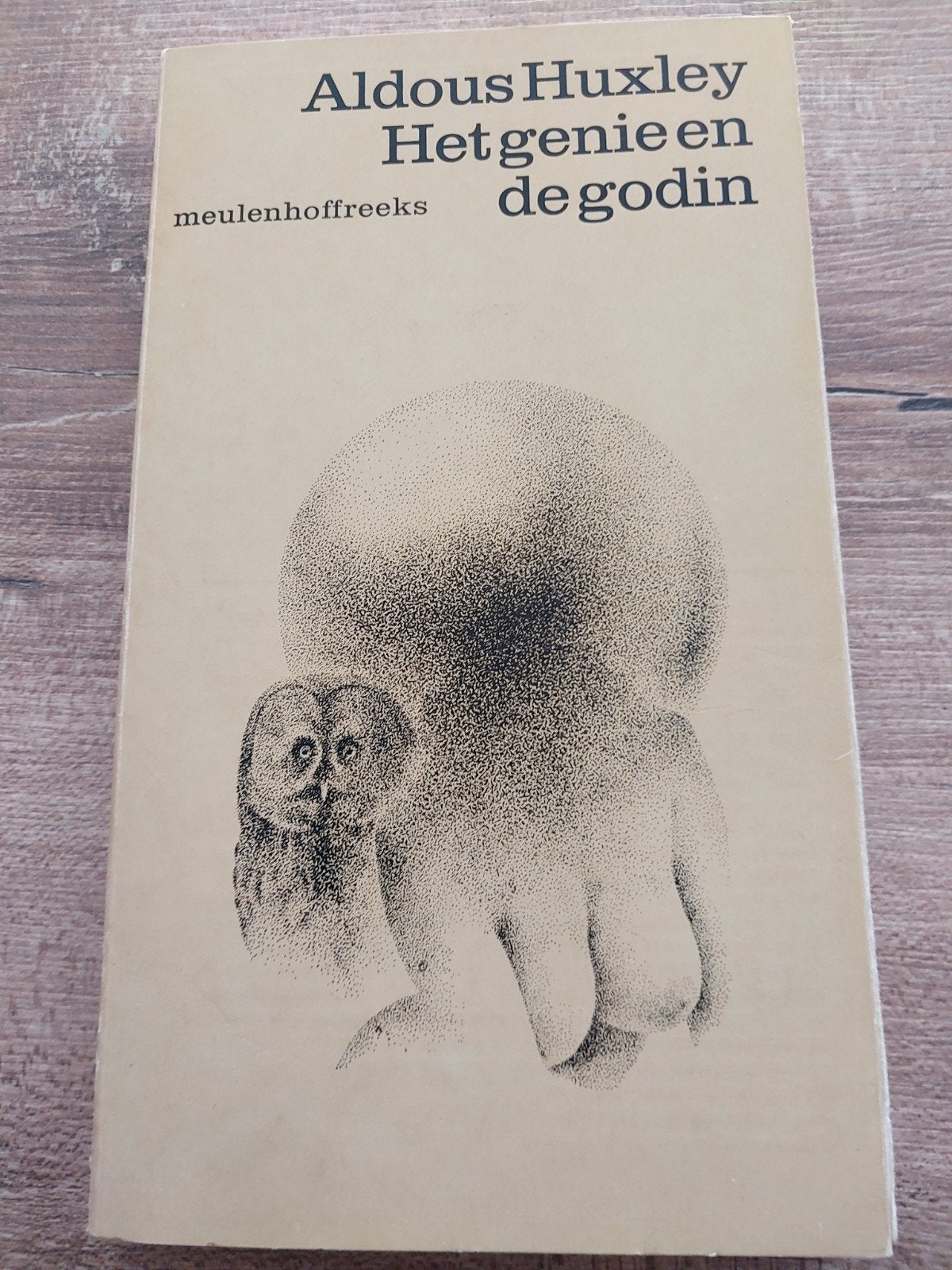 Aldous Huxley - Het genie en de godin, Boeken, Ophalen of Verzenden, Gelezen, Aldous Huxley, Nederland