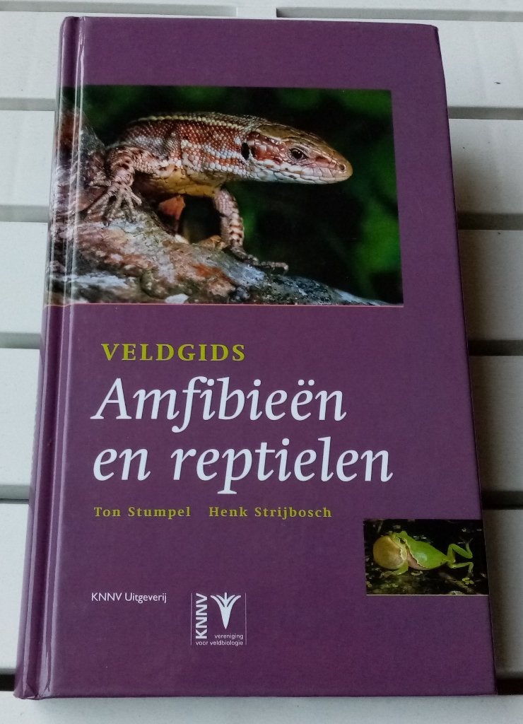 Veldgids Amfibieen en reptielen * Stumpel | Strijbosch, Gelezen, Ton Stumpel | Henk Strijbosch, Ophalen of Verzenden, Reptielen of Amfibieën