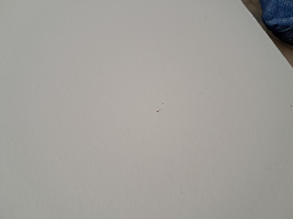 IKEA Komplement planken voor PAX kast wit 50x58, Ophalen, Gebruikt