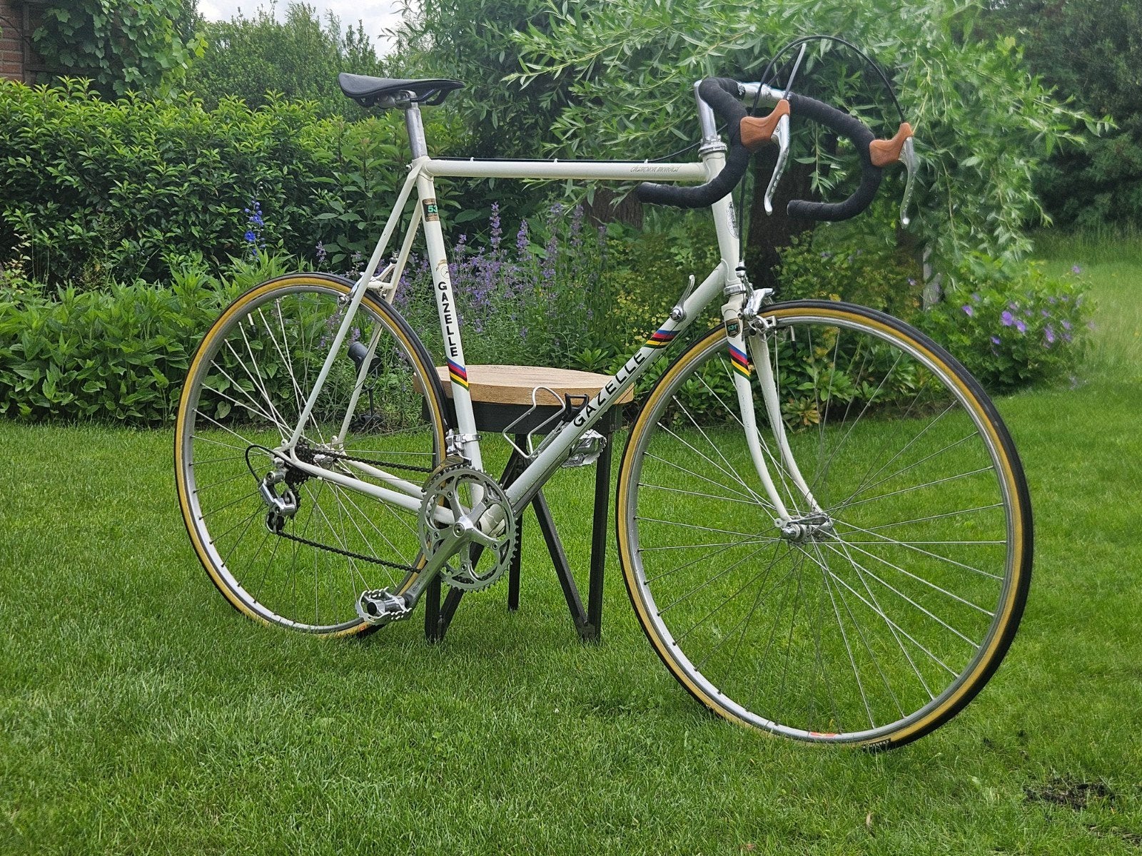 Gazelle Champion Mondial A-Frame Reynolds 531C - 1985, Fietsen en Brommers, Fietsen | Racefietsen, Ophalen, Staal, 10 tot 15 versnellingen