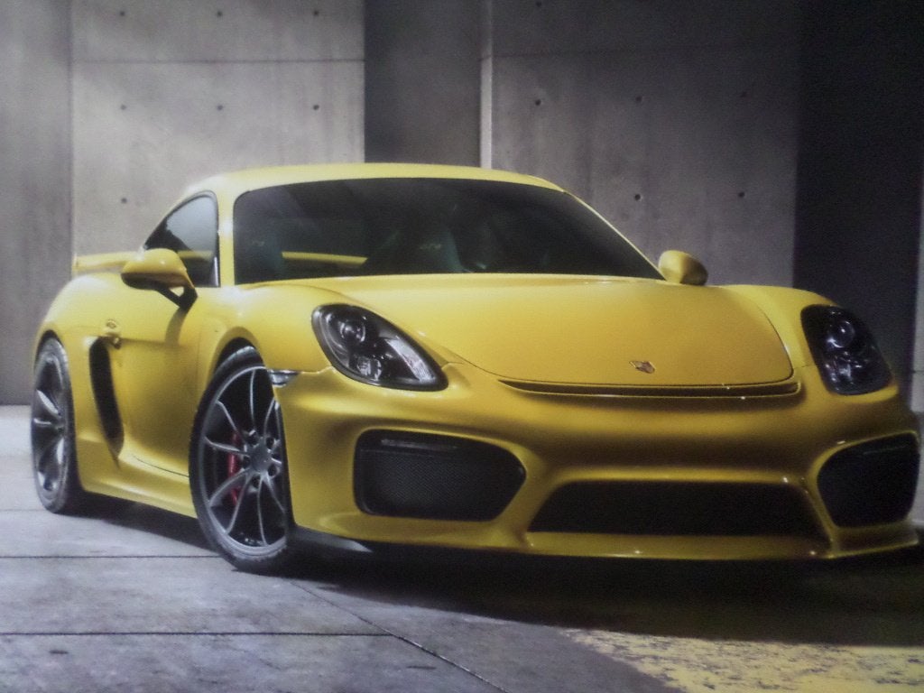 Porsche Cayman GT4 Boek, Ophalen of Verzenden, Zo goed als nieuw, Porsche