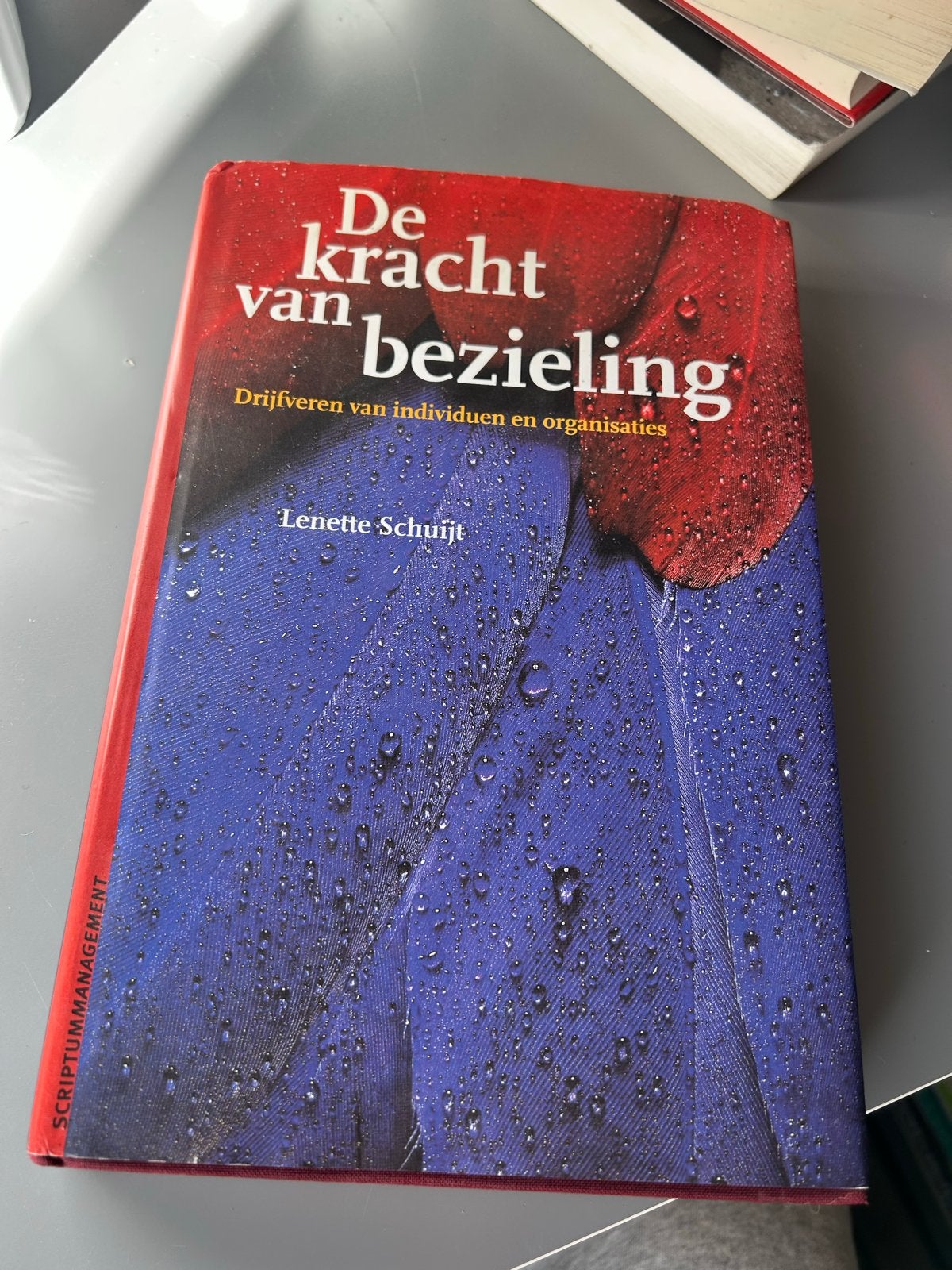 De kracht van bezieling - Lenette Schuijt, Ophalen of Verzenden, Gamma, Zo goed als nieuw, HBO