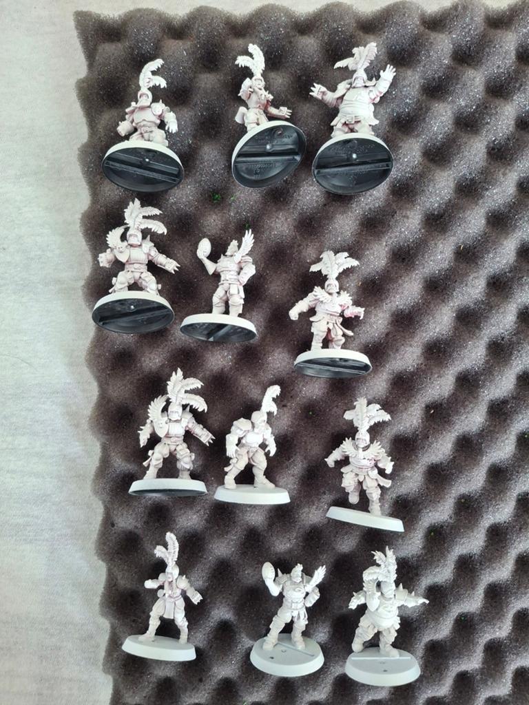 Blood Bowl Imperial Nobility Team, Met verf, Figuurtje(s), Overige soorten, Ophalen of Verzenden