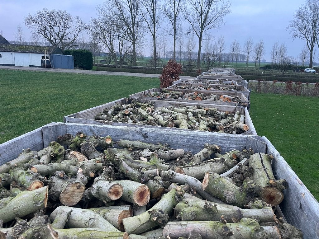 Haardhout Kachelhout Openhaardhout Appelhout Fruitbomenhout, 3 tot 6 m³, Ophalen, Overige houtsoorten, Blokken