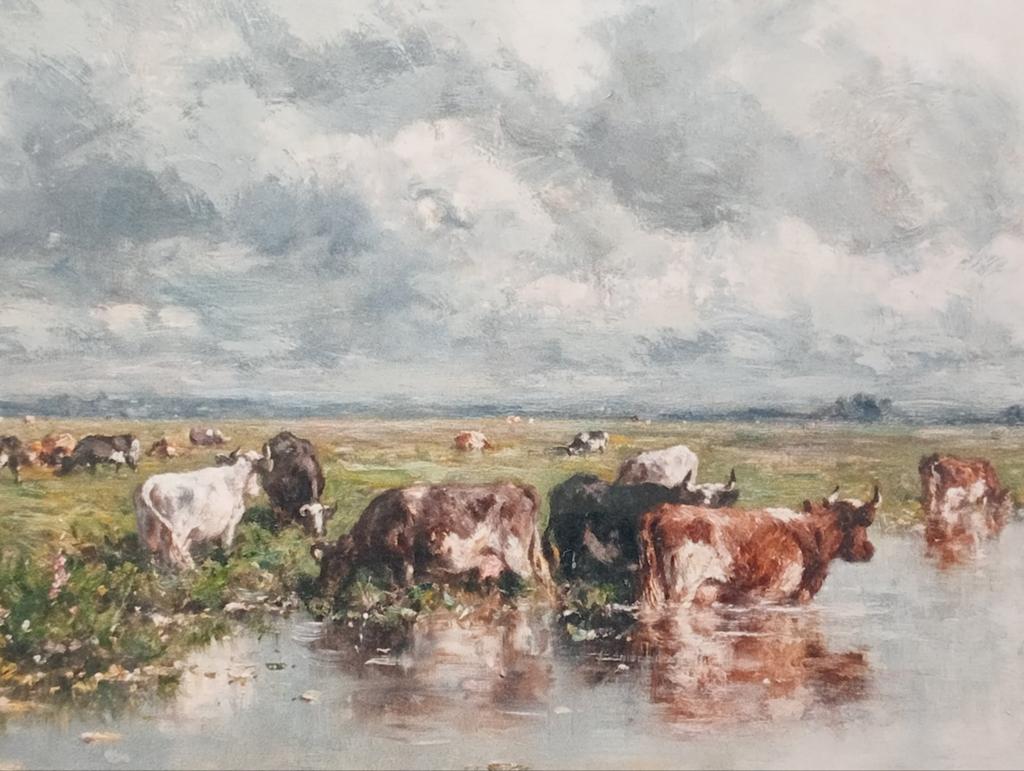 Willem Roelofs galerie persfoto 'Weide met Vee', Ophalen of Verzenden