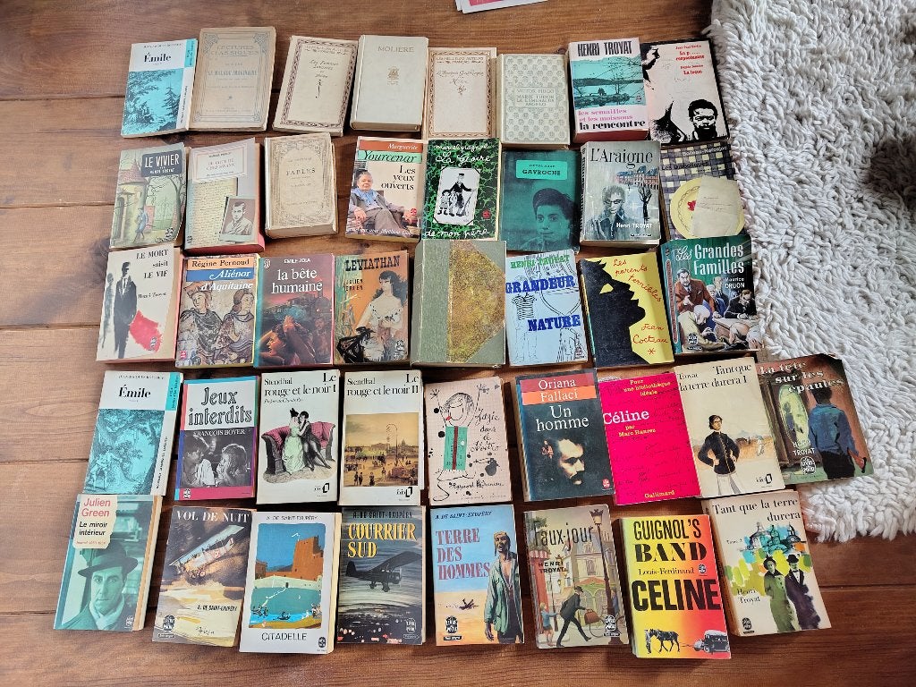 Plusieurs livres francais. Classiques, Ophalen of Verzenden, Gelezen, Diverse auteurs, Fictie