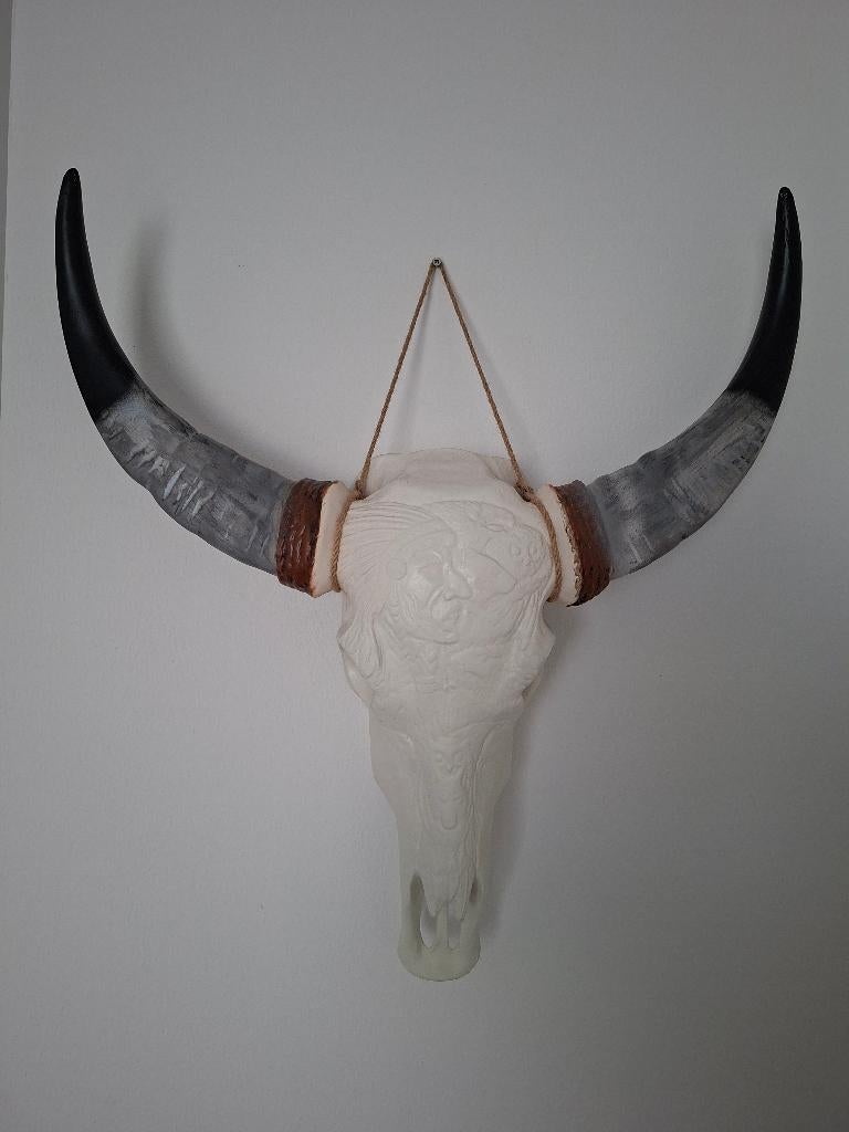 Buffel schedel skull - longhorn, Ophalen, Zo goed als nieuw, 68 cm, 80 cm