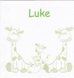 Luke, Ophalen of Verzenden, 2000 tot heden, Geboortekaartje
