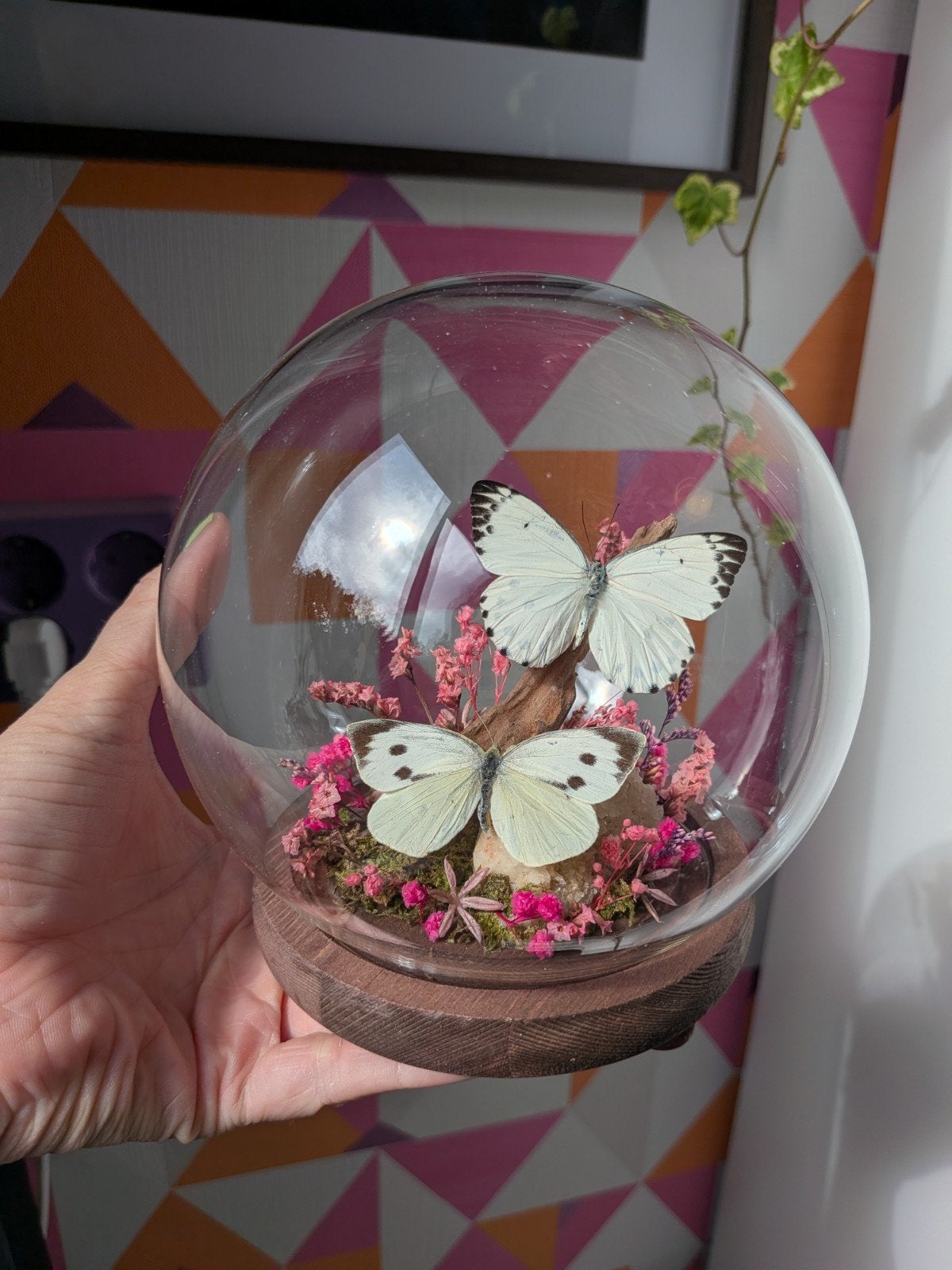 Unieke stolp met twee vlinders en roze bloemen en bergkrista, Ophalen of Verzenden, Gebruikt, Insect, Opgezet dier