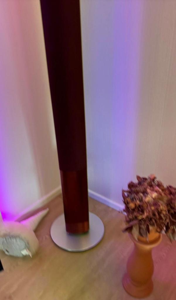 Bang Olufsen Beolab 1 & Beolab 6000 Bordeaux rood, Audio, Tv en Foto, Luidsprekers, Zo goed als nieuw, 120 watt of meer, Front, Rear of Stereo speakers