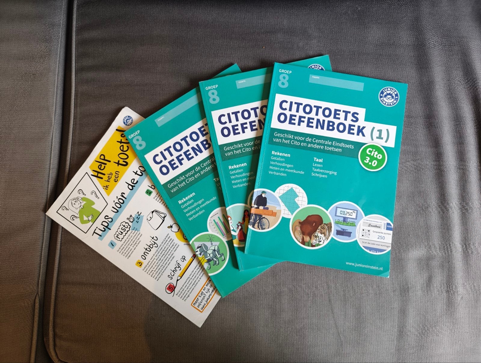 Cito Oefenboeken Groep 8 (set van 3) + Tips voor de toets, Ophalen of Verzenden, Zo goed als nieuw, Overige niveaus, Janssen van Maanen