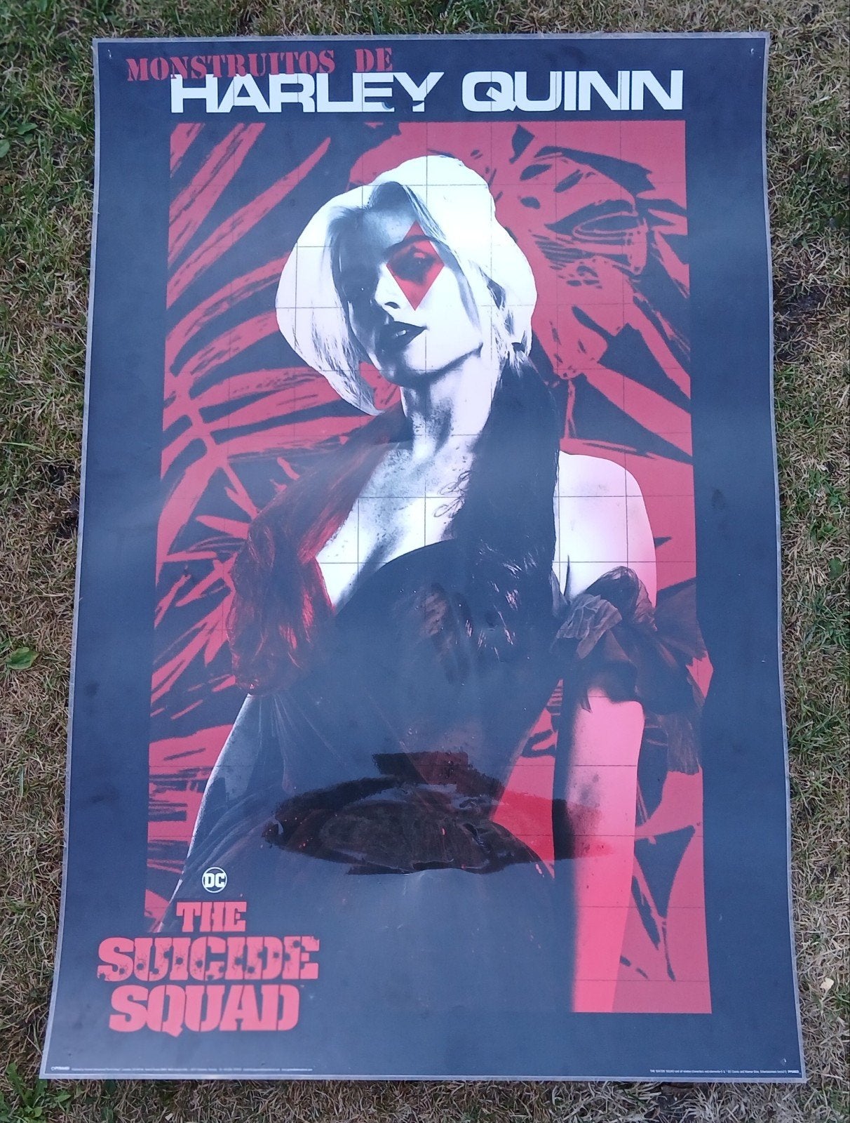 Poster Harley Quinn, Ophalen of Verzenden, Zo goed als nieuw, Foto of Poster, 75 – 100