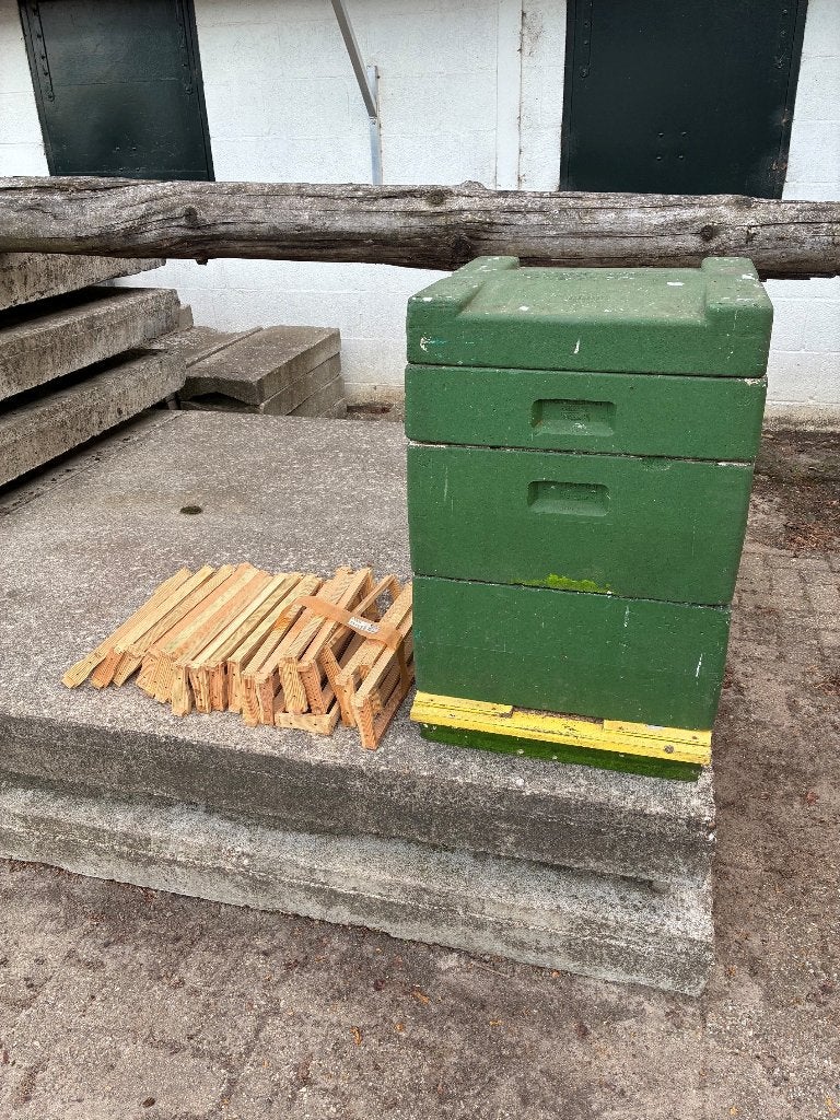 Bijenkast kunststof - inclusief honing raampjes, Bijen