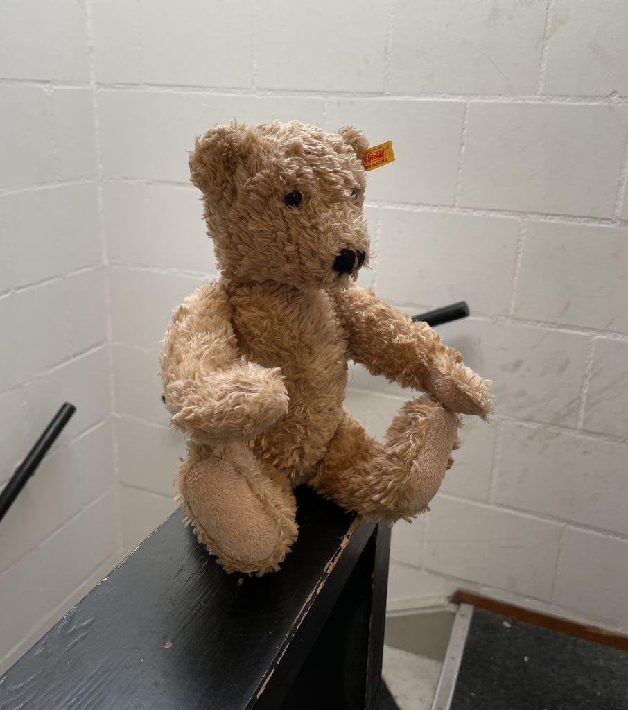 Steiff Teddybeer, Ophalen, Zo goed als nieuw, Stoffen beer, Steiff