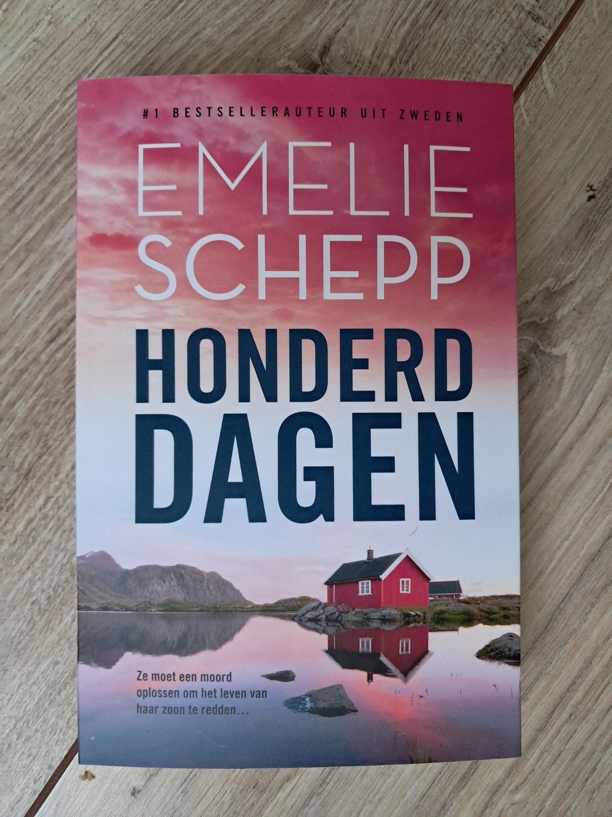 emelie schepp honderd dagen, Ophalen of Verzenden, Zo goed als nieuw, Emellie Schepp