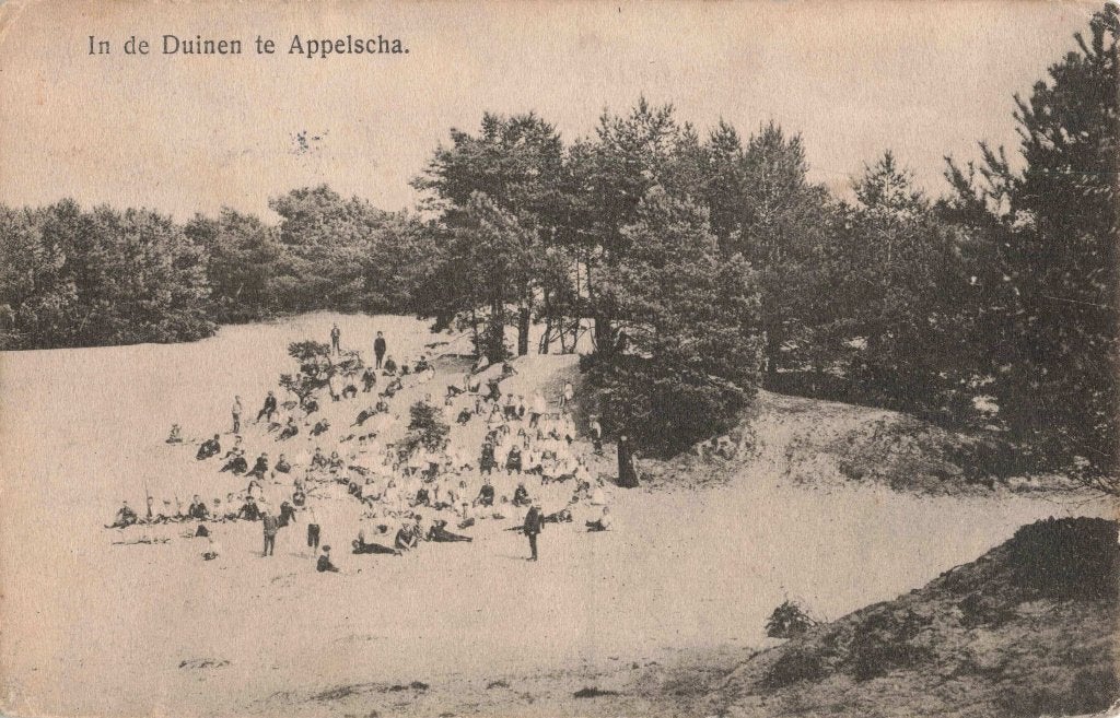 Appelscha In de Duinen L2931, Verzamelen, Ophalen, 1920 tot 1940, Gelopen, Friesland