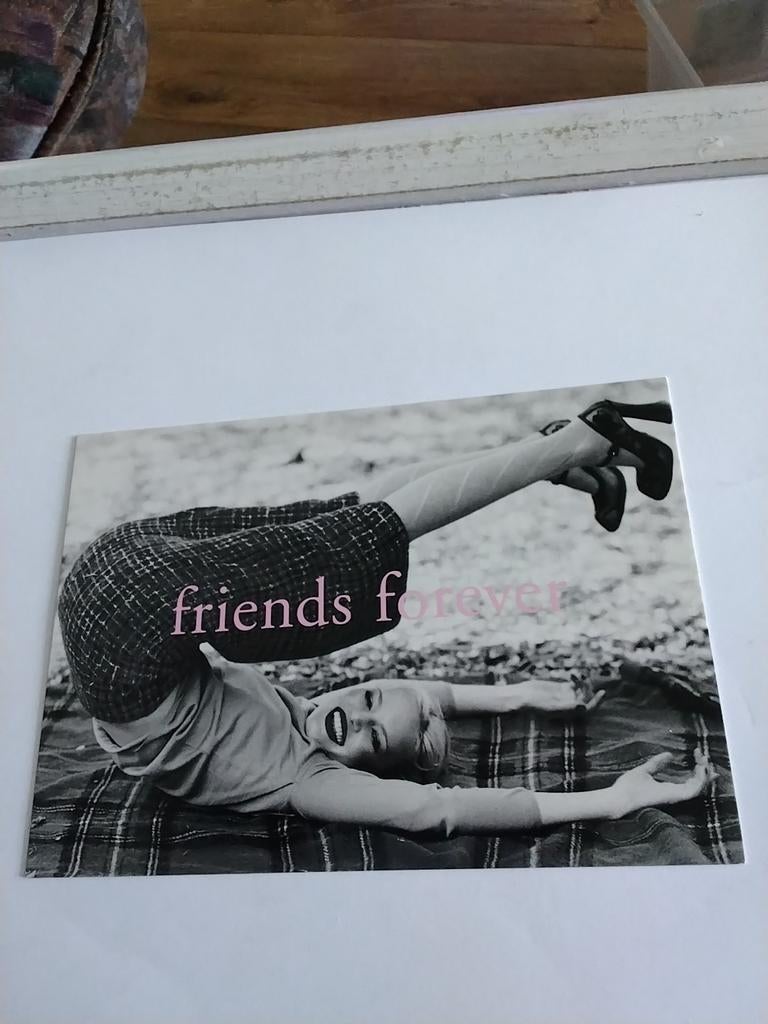 And you are my friend. Forever, Ophalen of Verzenden