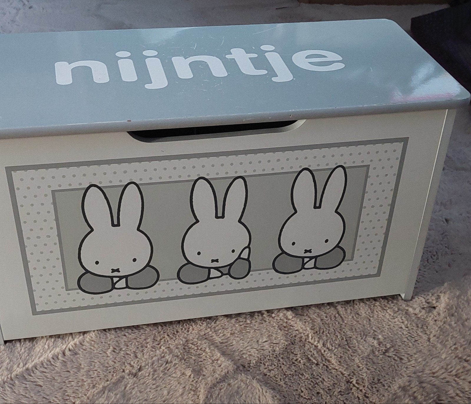 Nijntje houten kistje - 59x31x26 cm, Ophalen
