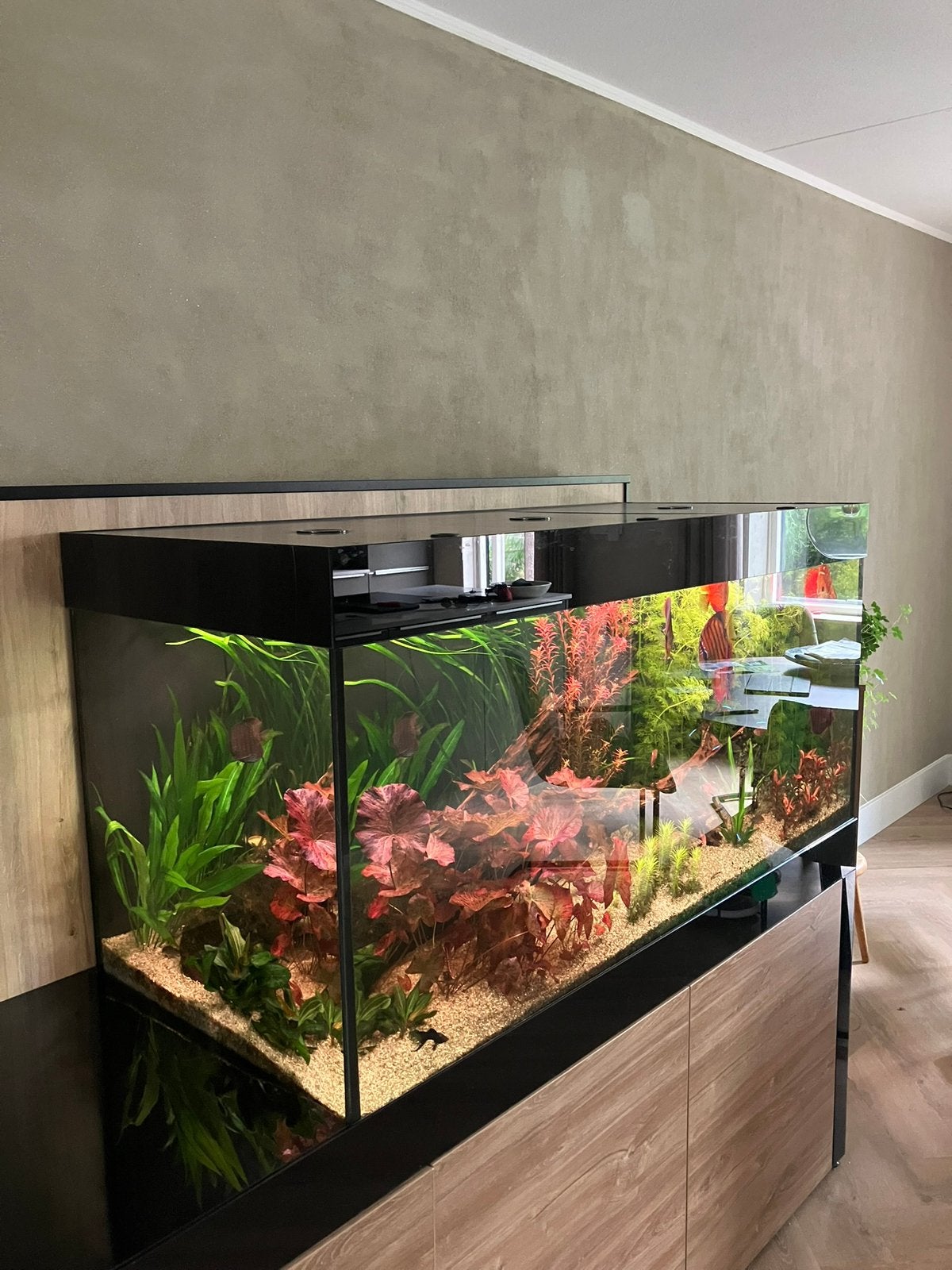 Aquarium, Ophalen, Zo goed als nieuw