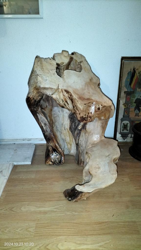 Uniek houten sculptuur: Krokodil, Overige onderwerpen, Handgemaakt, Beeld, Hout
