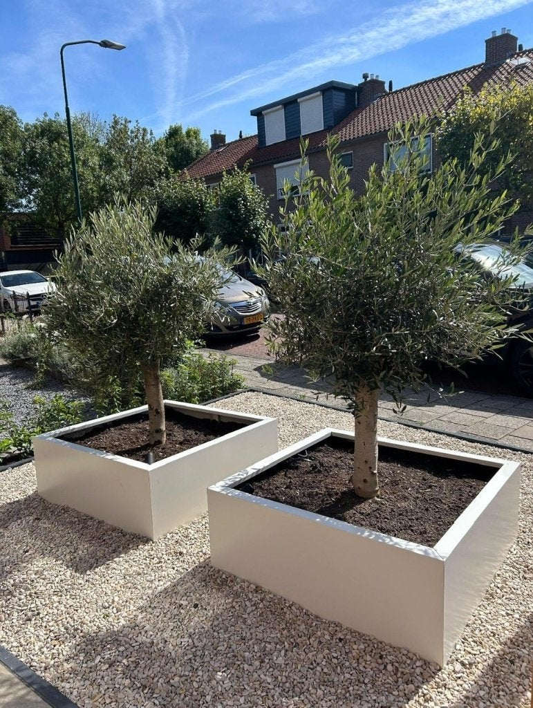 Plantenbak, Info@plantenbakkenvanstaal.nl, Plantenbakken van Staal, Nieuw, Ophalen of Verzenden